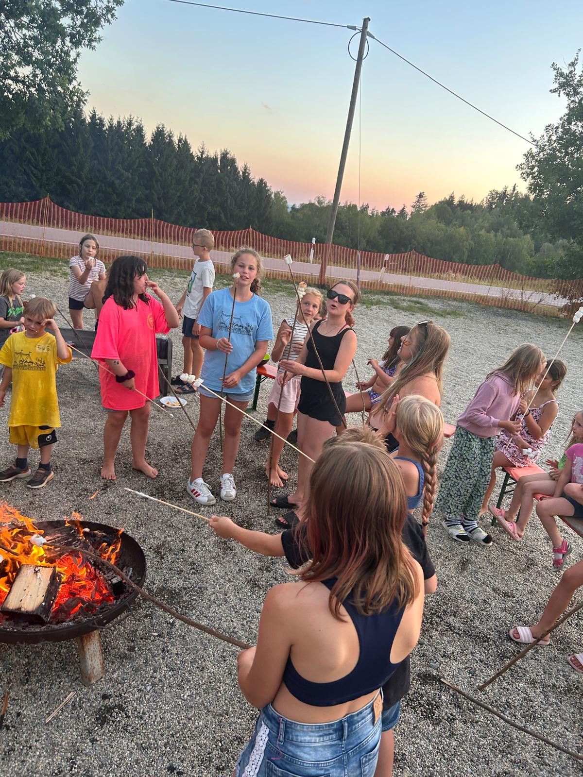 WhatsApp Image 2026 08 08 at 14.57.13